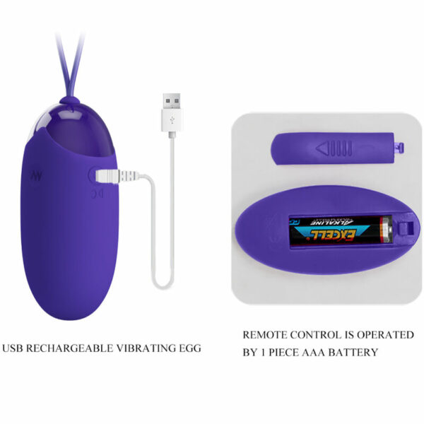 Oeuf Vibrant Télécommandé Berger – Image 5
